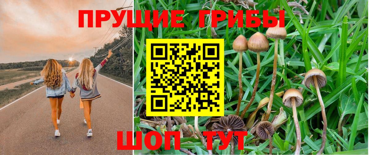 Барнаул  Галлюциногенные грибы Cubensis  Галлюциногенные грибы мицелий  Вход с VPN 