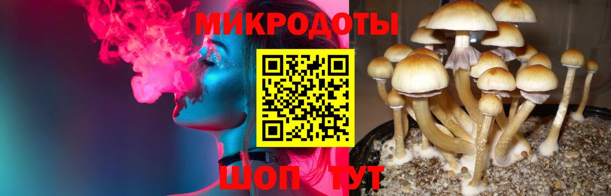 Псилоцибиновые грибы Magic Shrooms Барнаул
